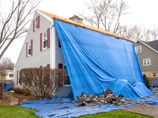 Affordable siding repair and maintenance services in Greenville, GA
